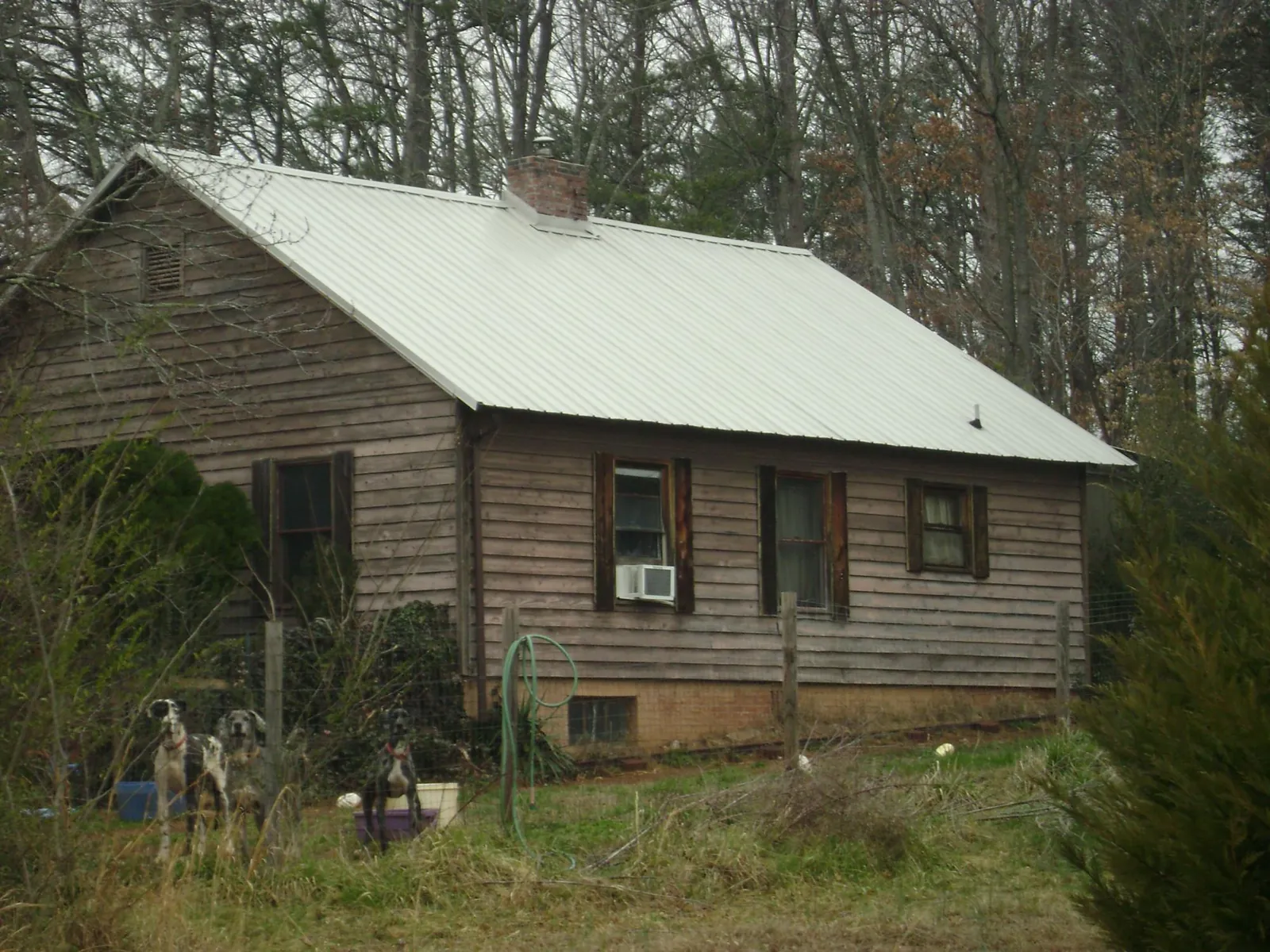 White metal roof on an old wood sided farmhouse, from a Asphalt Shingle Roof Repair job in Central Square